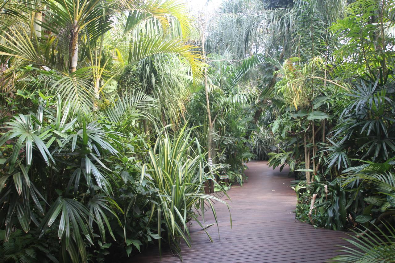 Forest Lodge Saint Lucia Estuary Екстериор снимка