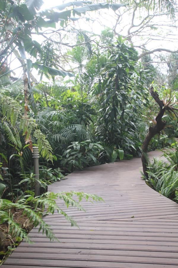 Forest Lodge Saint Lucia Estuary Екстериор снимка